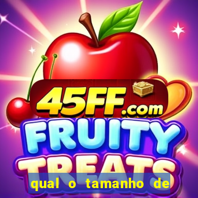 qual o tamanho de uma barra de ouro de 1kg